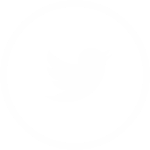Boton de twitter